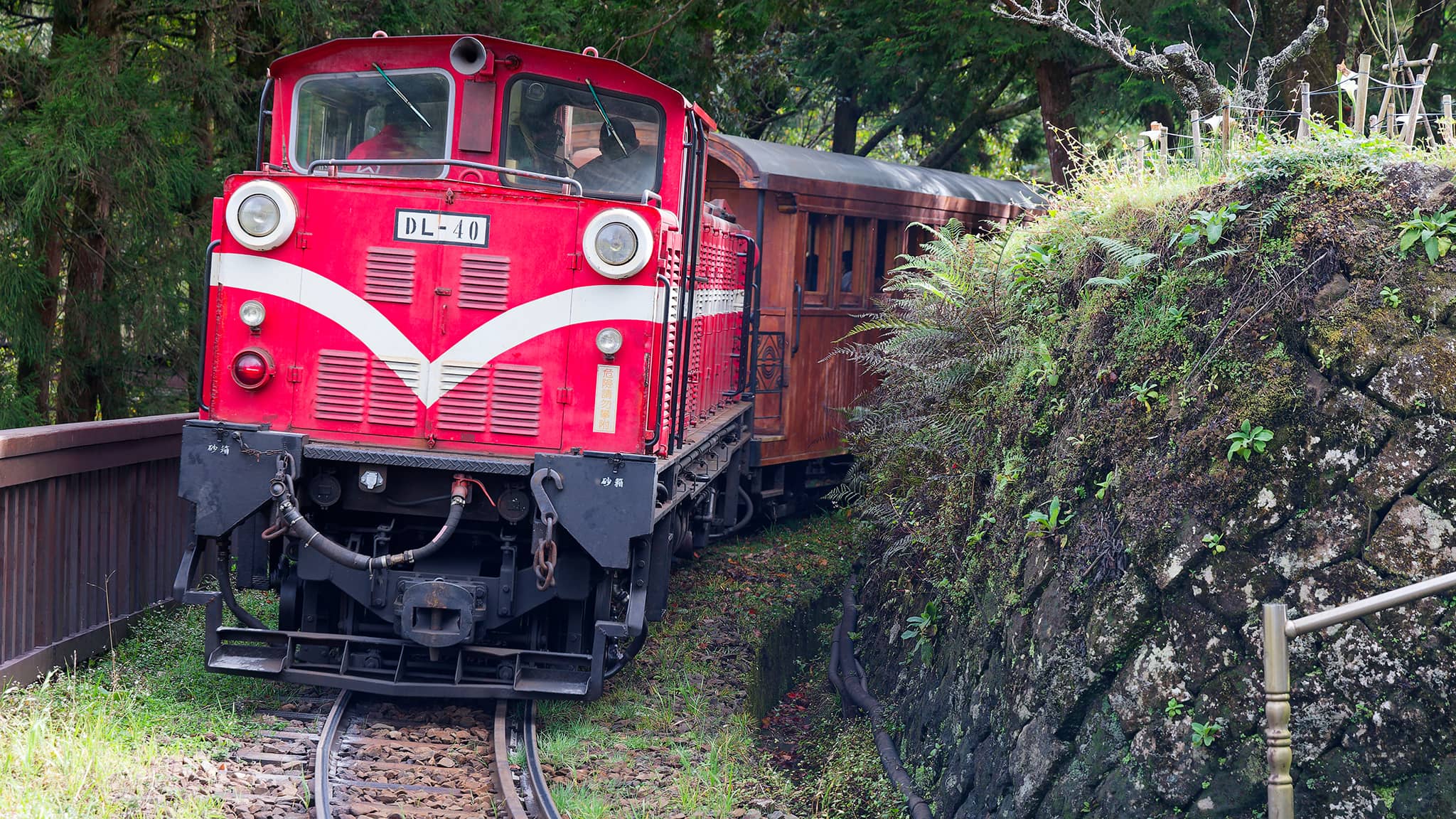 05 - Alishan (48).jpg